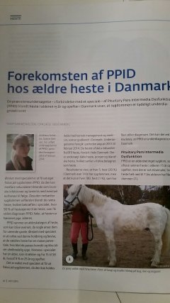 Dansk Veterin&aelig;rtidsskrift